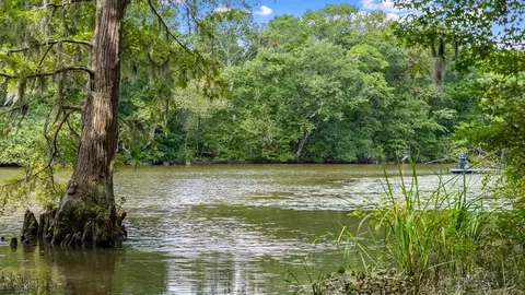 View/Area - 113 Harbour Dr, Hardeeville, SC 29927 photo 4 of 4