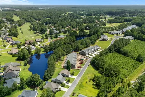 View/Area - 910 Foxtail Dr, Longs, SC 29568 photo 4 of 5
