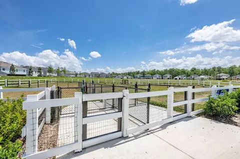 View/Area - 2639 Firethorn Ave, Orange Park, FL 32073 photo 3 of 8