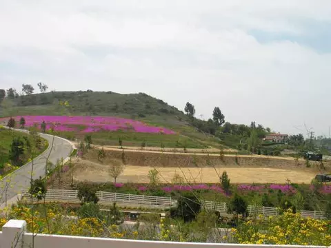 3186 Wildflower Smt, Encinitas, CA 92024 photo 1
