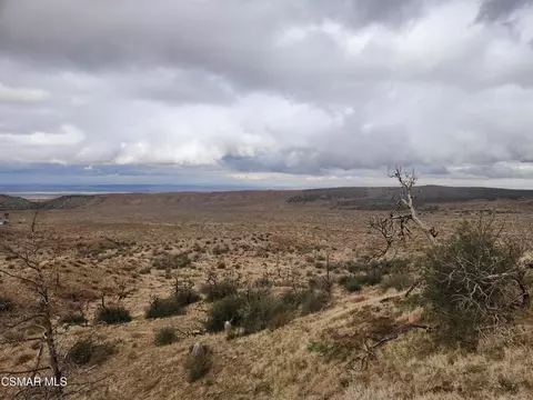 Off Big Pines Hwy. Road, Llano, CA 93544 photo 14