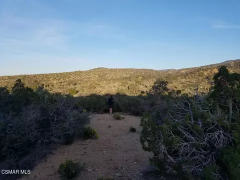 Off Big Pines Hwy. Road, Llano, CA 93544 photo 4