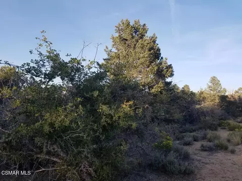 Off Big Pines Hwy. Road, Llano, CA 93544 photo 6