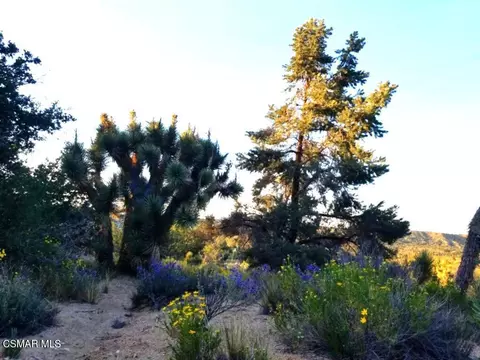 Off Big Pines Hwy. Road, Llano, CA 93544