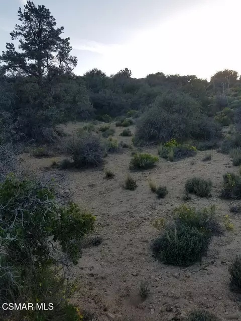 Off Big Pines Hwy. Road, Llano, CA 93544 photo 9