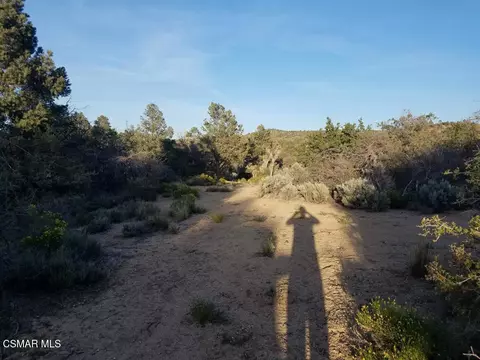 Off Big Pines Hwy. Road, Llano, CA 93544 photo 3