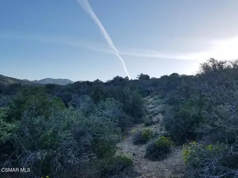 Off Big Pines Hwy. Road, Llano, CA 93544 photo 10
