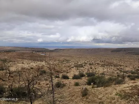 Off Big Pines Hwy. Road, Llano, CA 93544 photo 15