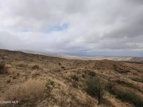 Off Big Pines Hwy. Road, Llano, CA 93544 photo 17
