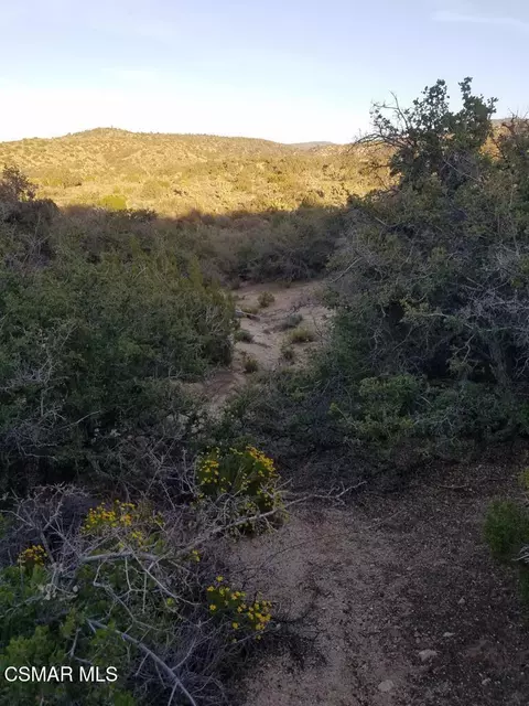 Off Big Pines Hwy. Road, Llano, CA 93544 photo 7