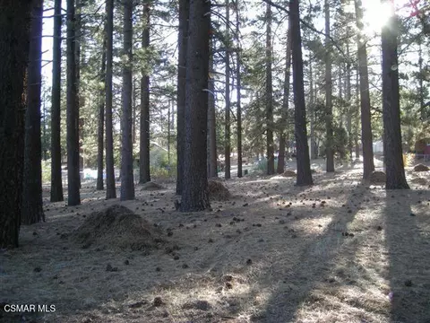 776 Knickerbocker Rd, Big Bear, CA 92315 photo 12