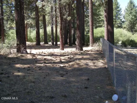 776 Knickerbocker Rd, Big Bear, CA 92315 photo 5