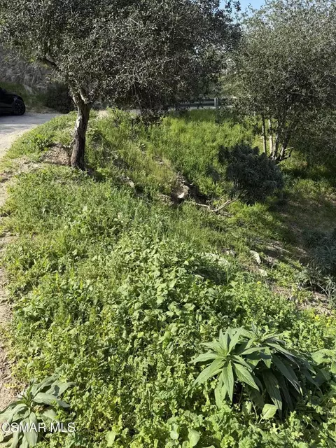 Flora Morgan Trail, Tujunga, CA 91042 photo 4