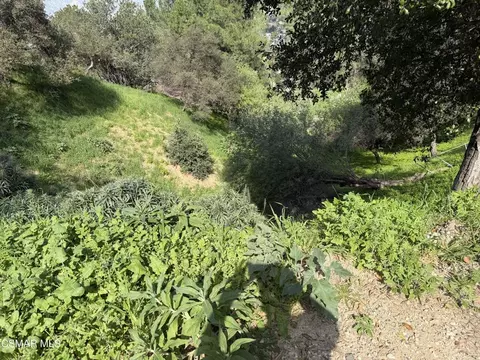Flora Morgan Trail, Tujunga, CA 91042 photo 3