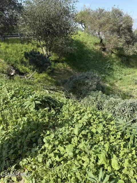Flora Morgan Trail, Tujunga, CA 91042 photo 5