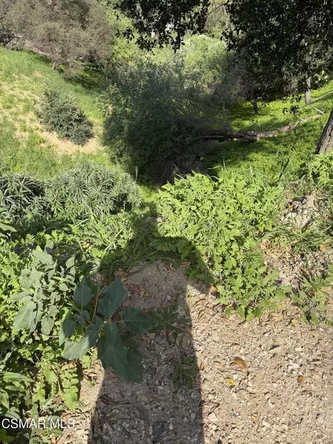 Flora Morgan Trail, Tujunga, CA 91042 photo 7