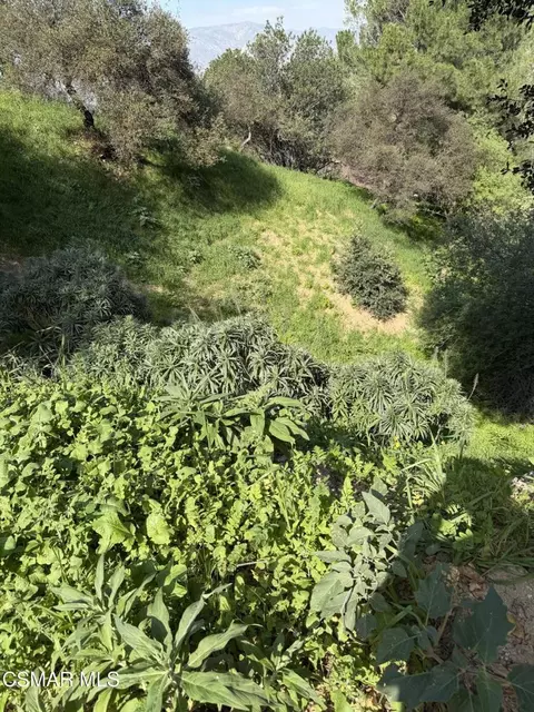 Flora Morgan Trail, Tujunga, CA 91042 photo 6