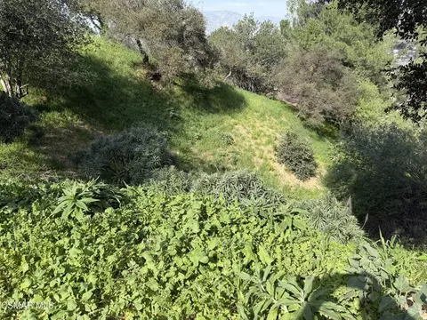 Flora Morgan Trail, Tujunga, CA 91042 photo 2