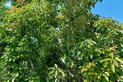 Other - 1917 Brittany Park Rd, Camarillo, CA 93012 photo 19 of 21