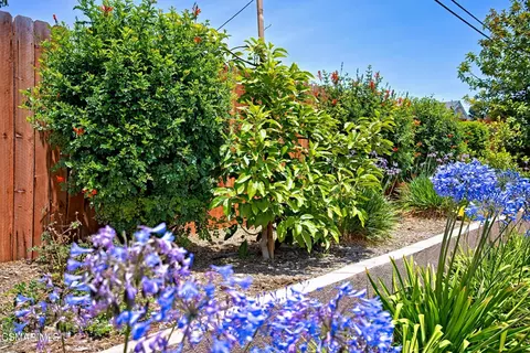Exterior - 3391 Rivermore St, Camarillo, CA 93010 photo 6 of 14