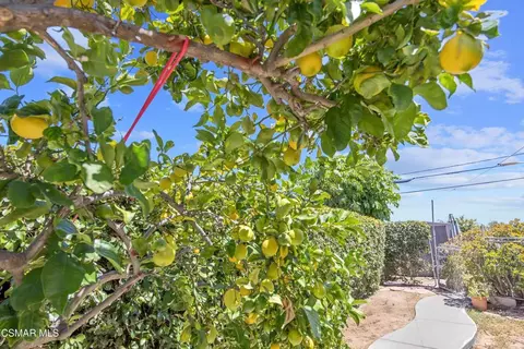Exterior - 1324 Melia St, Camarillo, CA 93010 photo 14 of 15