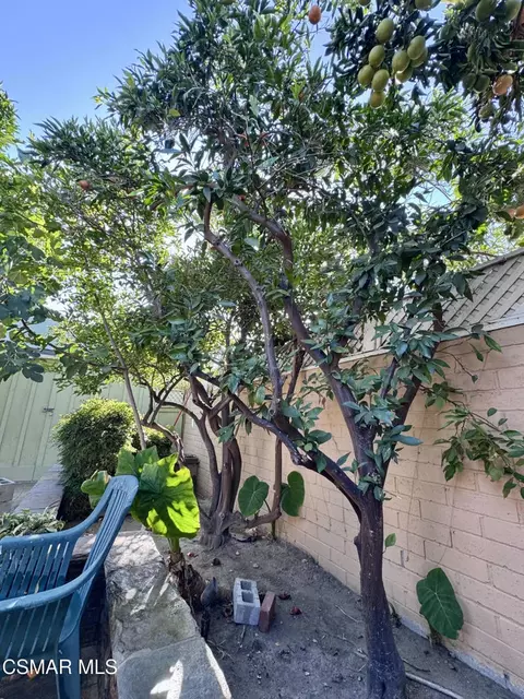 Exterior - 1130 N Maple St, Burbank, CA 91505 photo 9 of 13
