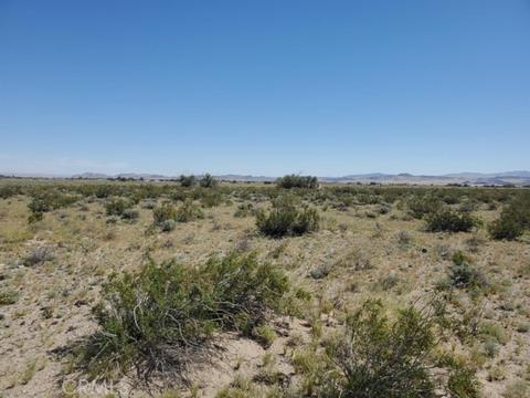 0 Autumn Leaf Rd, Newberry Springs, CA 92365