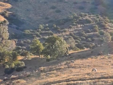 0 Jacob Apt 2 Rd, Caliente, CA 93518