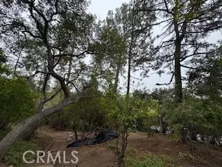 0 Burleigh Dr, Pasadena, CA 91105 photo 7