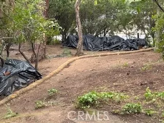 0 Burleigh Dr, Pasadena, CA 91105 photo 6