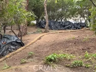 0 Burleigh Dr, Pasadena, CA 91105 photo 6