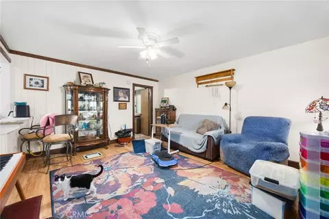 Living - 22801 Fran Dr, Tehachapi, CA 93561 photo 4 of 4