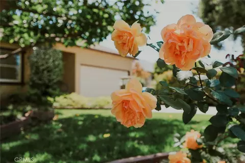 Exterior - 38 W Pamela, Arcadia, CA 91007 photo 5 of 11