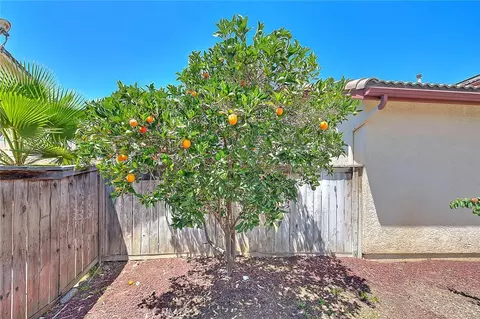 Exterior - 1430 Orange Tree Ln, Upland, CA 91786 photo 6 of 14
