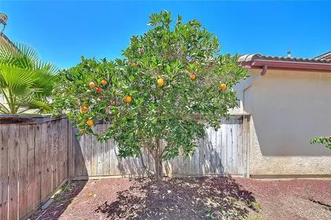 Exterior - 1430 Orange Tree Ln, Upland, CA 91786 photo 4 of 12