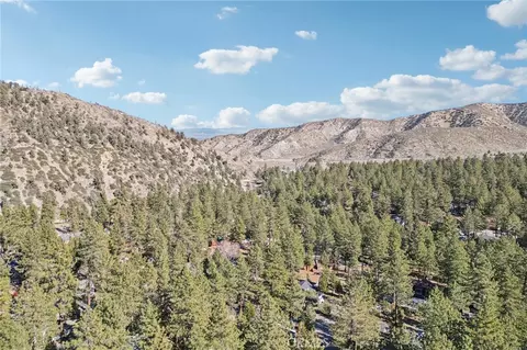 View/Area - 1847 Thrush Rd, Wrightwood, CA 92397 photo 7 of 7