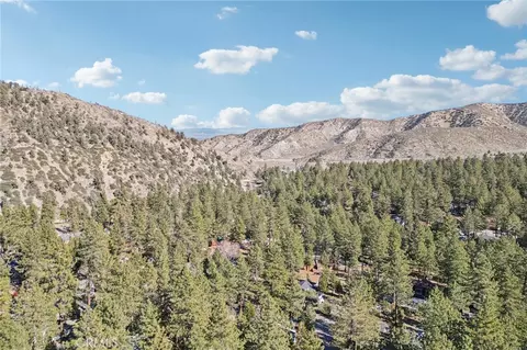 View/Area - 1847 Thrush Rd, Wrightwood, CA 92397 photo 7 of 7
