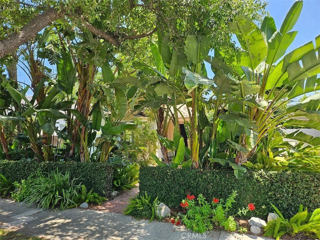 322 S S Orch, Burbank, CA 91506