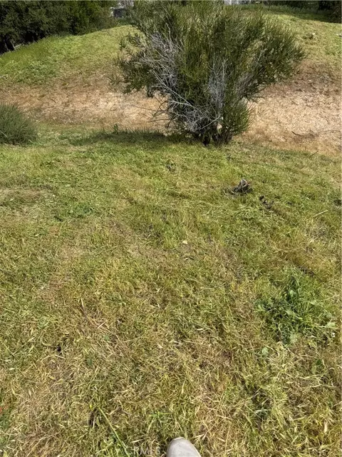 0 0, Tujunga, CA 91042 photo 3