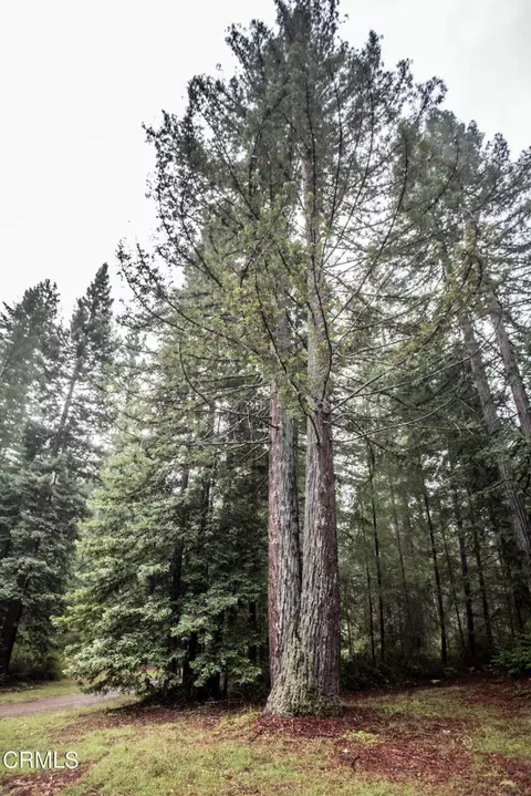 Other - 11091 Irmulco Rd, Willits, CA 95490 photo 19 of 25