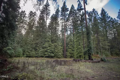 Exterior - 11091 Irmulco Rd, Willits, CA 95490 photo 2 of 15
