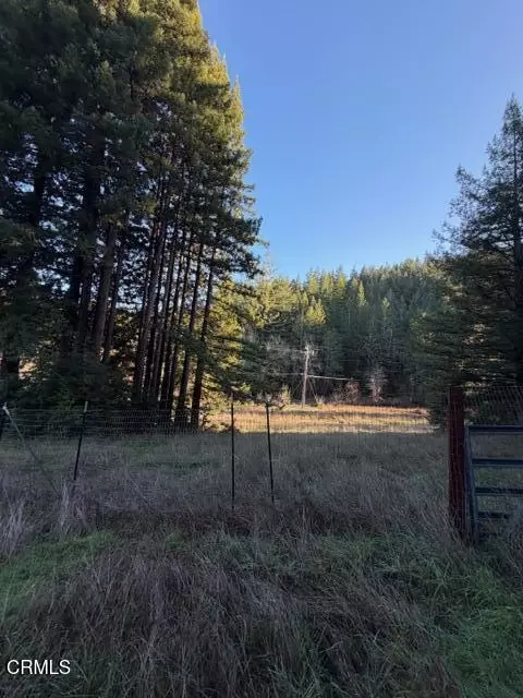 7800 Flynn Creek Rd, Comptche, CA 95427