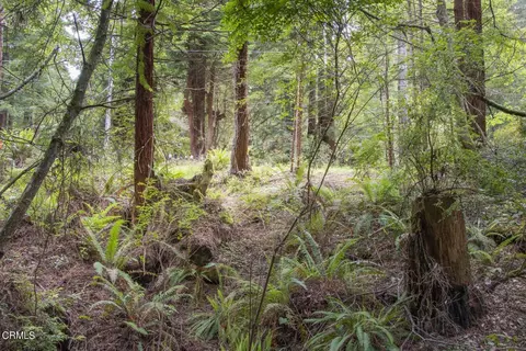 32100 Forest Ln, Fort Bragg, CA 95437