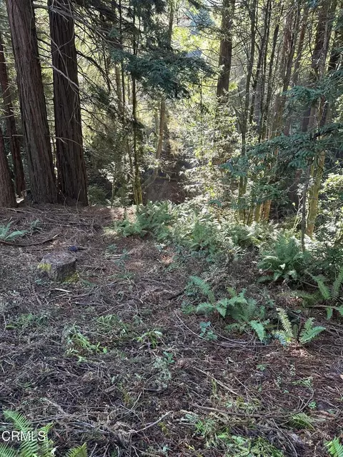 17500 Redwood Springs Dr, Fort Bragg, CA 95437