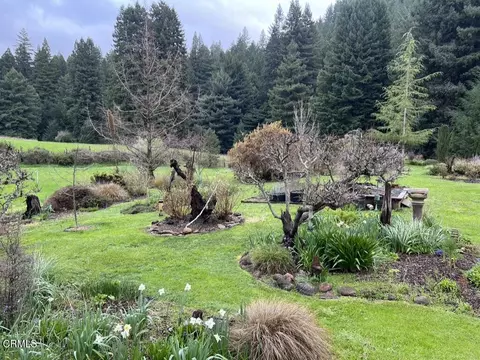 Exterior - 31501 Comptche Ukiah Rd, Comptche, CA 95427 photo 32 of 41