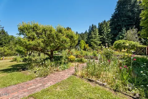 Exterior - 31501 Comptche Ukiah Rd, Comptche, CA 95427 photo 16 of 41