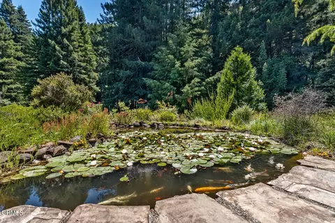 Other - 31501 Comptche Ukiah Rd, Comptche, CA 95427 photo 1 of 13