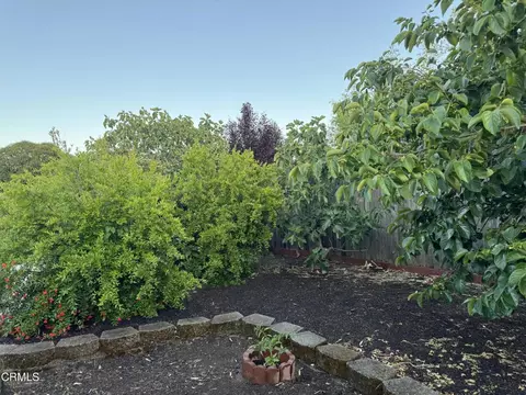 Exterior - 255 Burlington Dr, Ukiah, CA 95482 photo 5 of 13