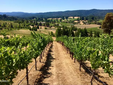 3400 Chardonnay Ln, Philo, CA 95466