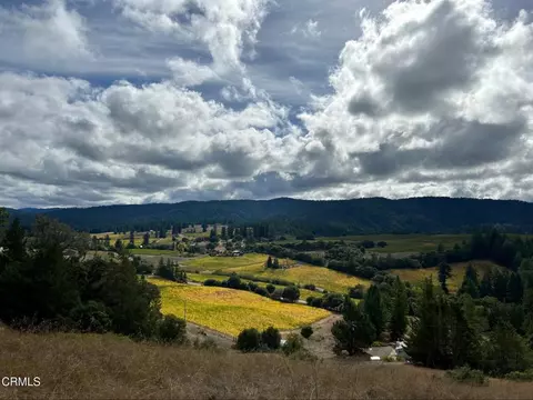 3400 Chardonnay Ln, Philo, CA 95466 photo 4